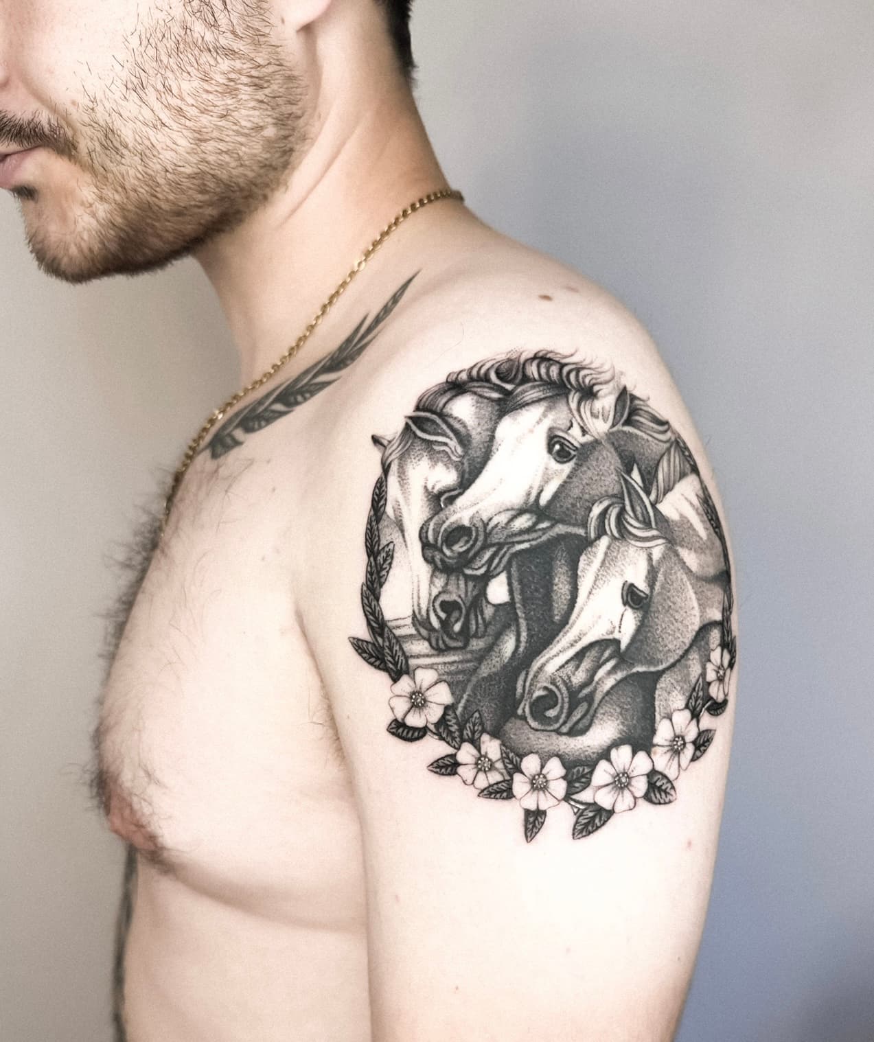 Pharaohs horses shoulder